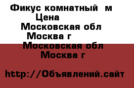 Фикус комнатный 1м › Цена ­ 5 000 - Московская обл., Москва г.  »    . Московская обл.,Москва г.